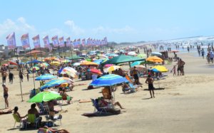 Concurso Em Balne Rio Arroio Do Silva Traz Vagas Efetivas