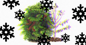 O que é a Geada Negra?