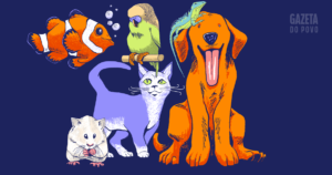 Quantos pets existem no Brasil